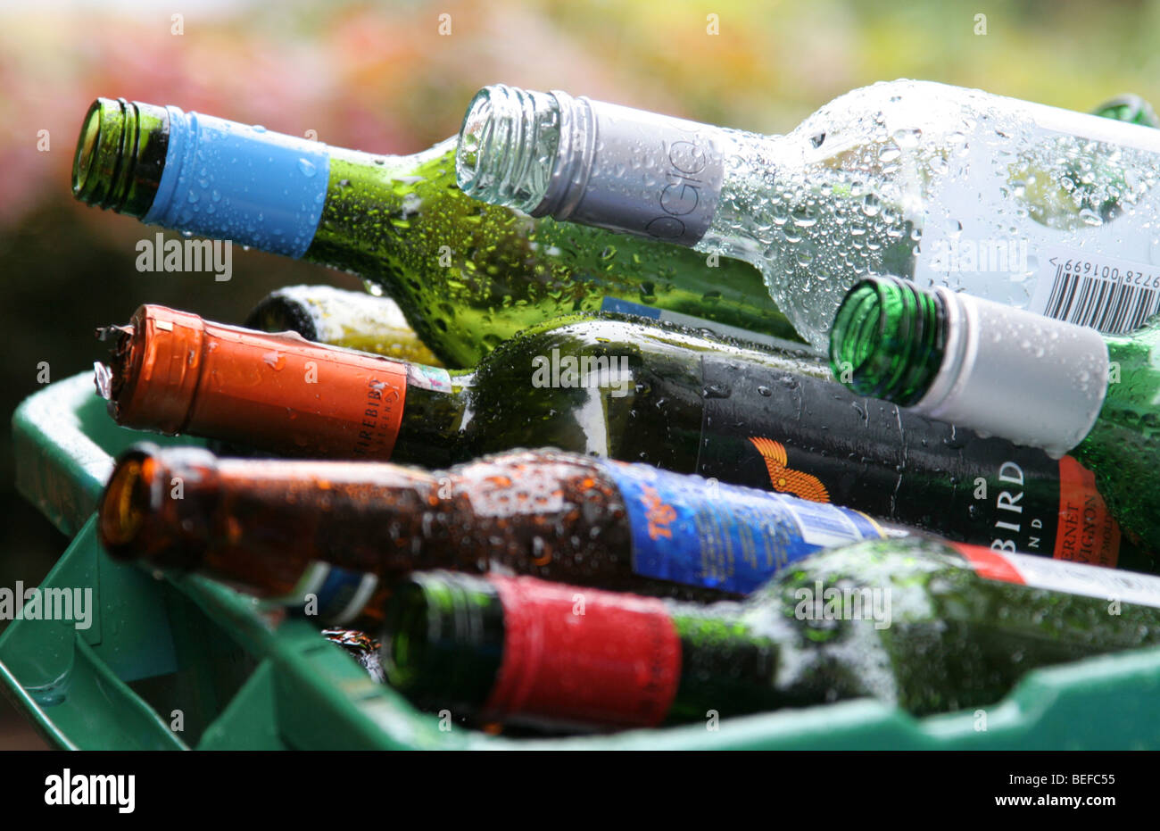 Botellas de vino vacias fotografías e imágenes de alta resolución - Alamy