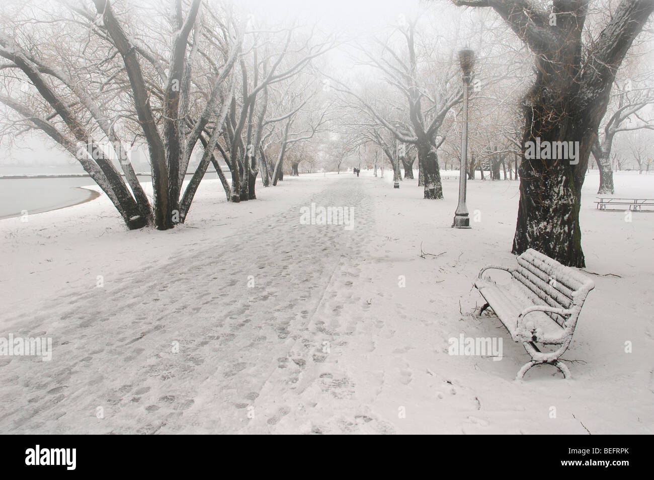 Resumen Park en invierno Foto de stock