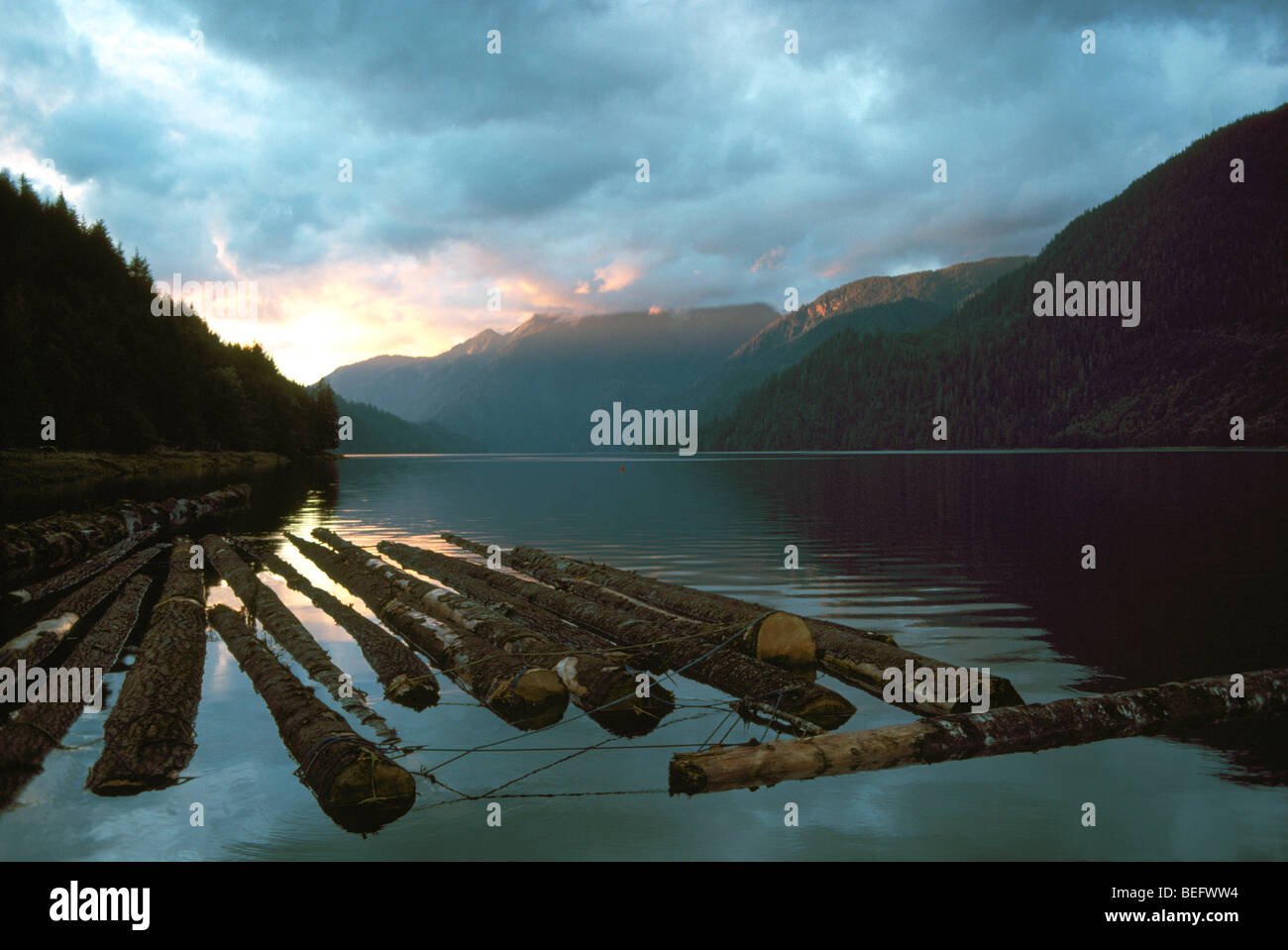 Entrada Khutzeymateen, Norte de la Columbia británica, British Columbia, Canadá - Aguilón Registro flotando en el Océano Pacífico Foto de stock