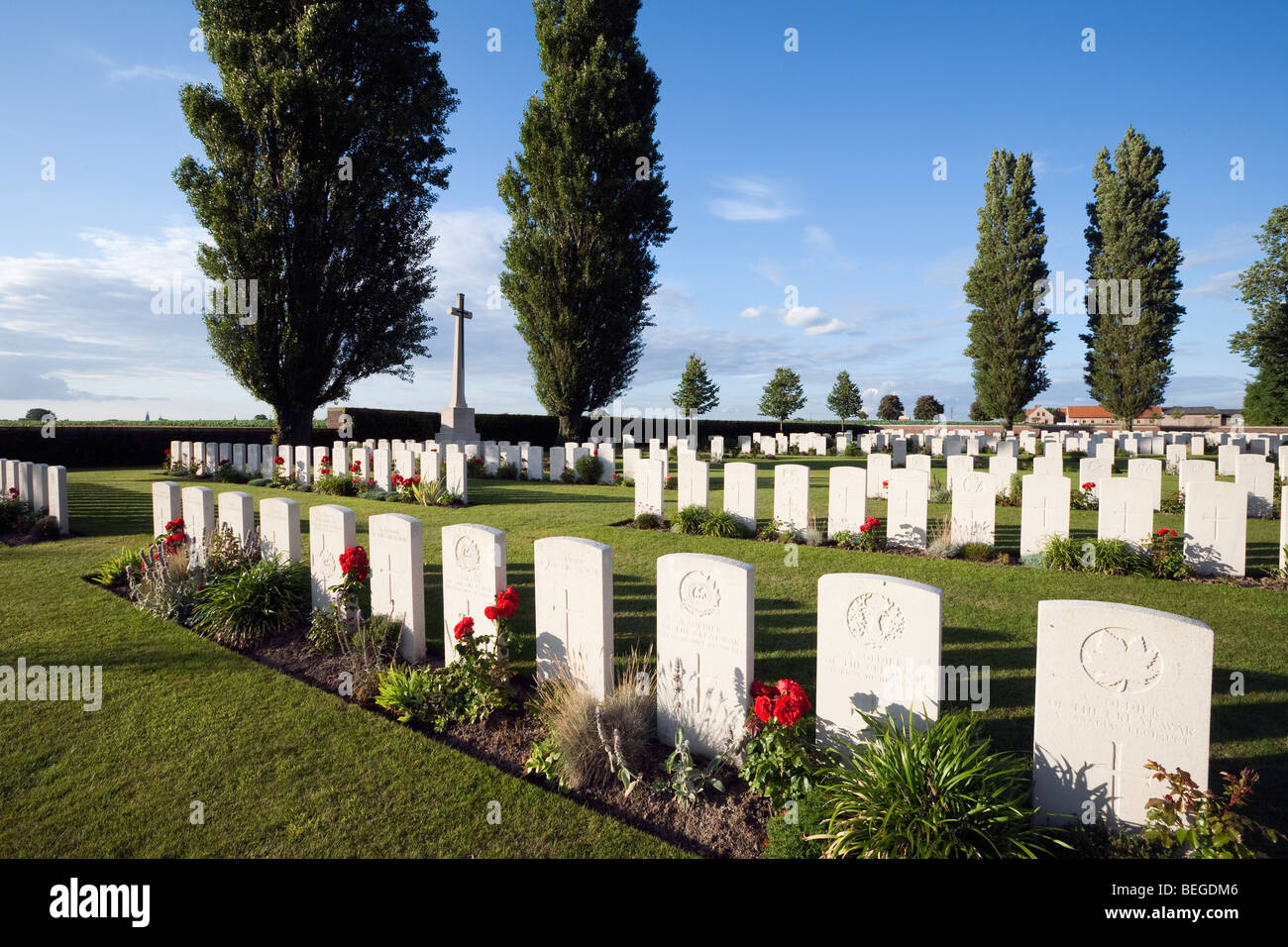 Primera Guerra Mundial Cementerio Militar Británico con álamos. Foto de stock