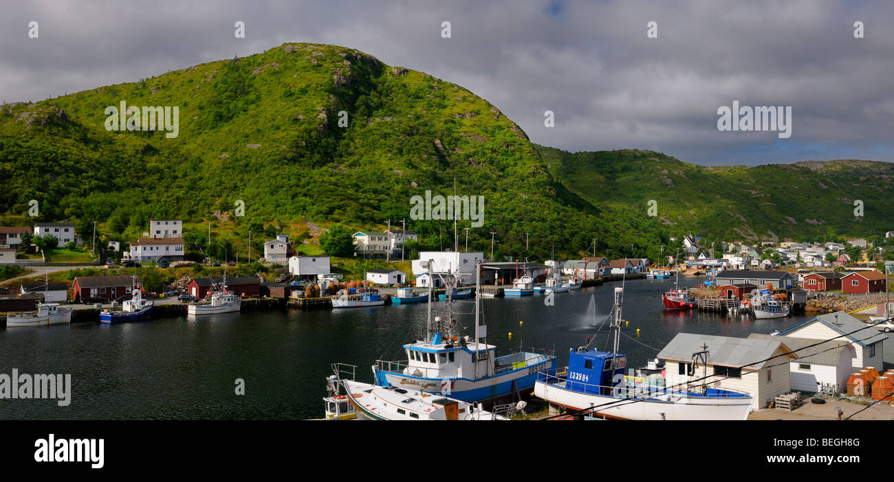 Panorama de petty harbour-maddox cove barcos en muelles península de Avalon Terranova Foto de stock