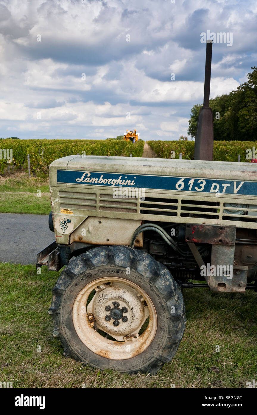 613 Lamborghini italiano antiguo viñedo DTV tractor - sud-Touraine, Francia  Fotografía de stock - Alamy