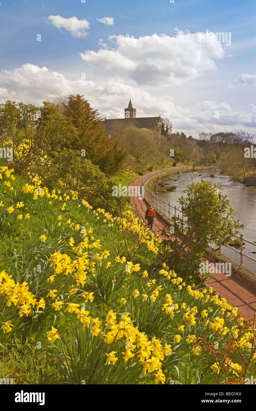 Dunblane Catedral y el Allan agua Fotografía de stock Alamy