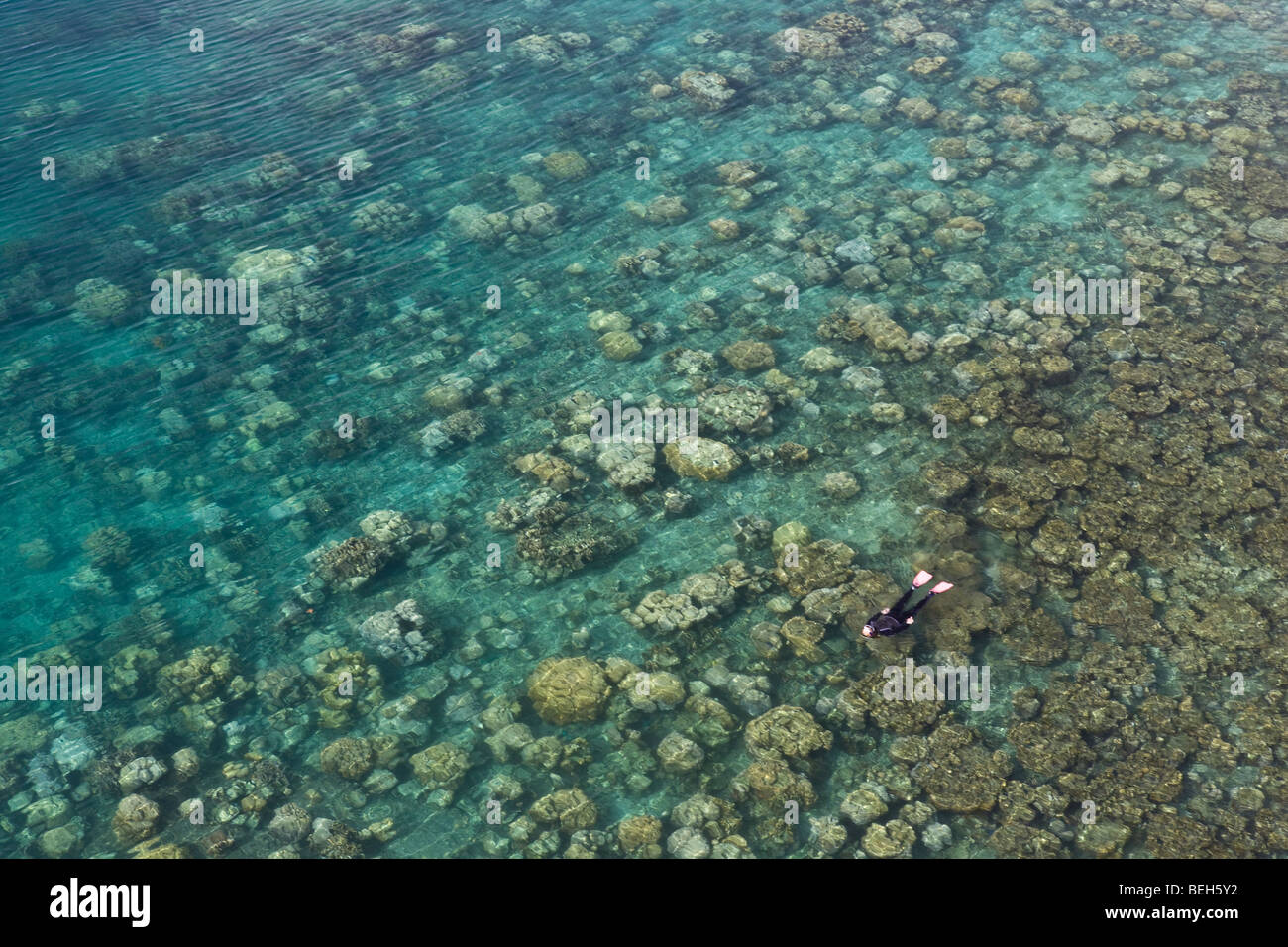 Buceador explorar los arrecifes de coral, Micronesia, Palau Foto de stock