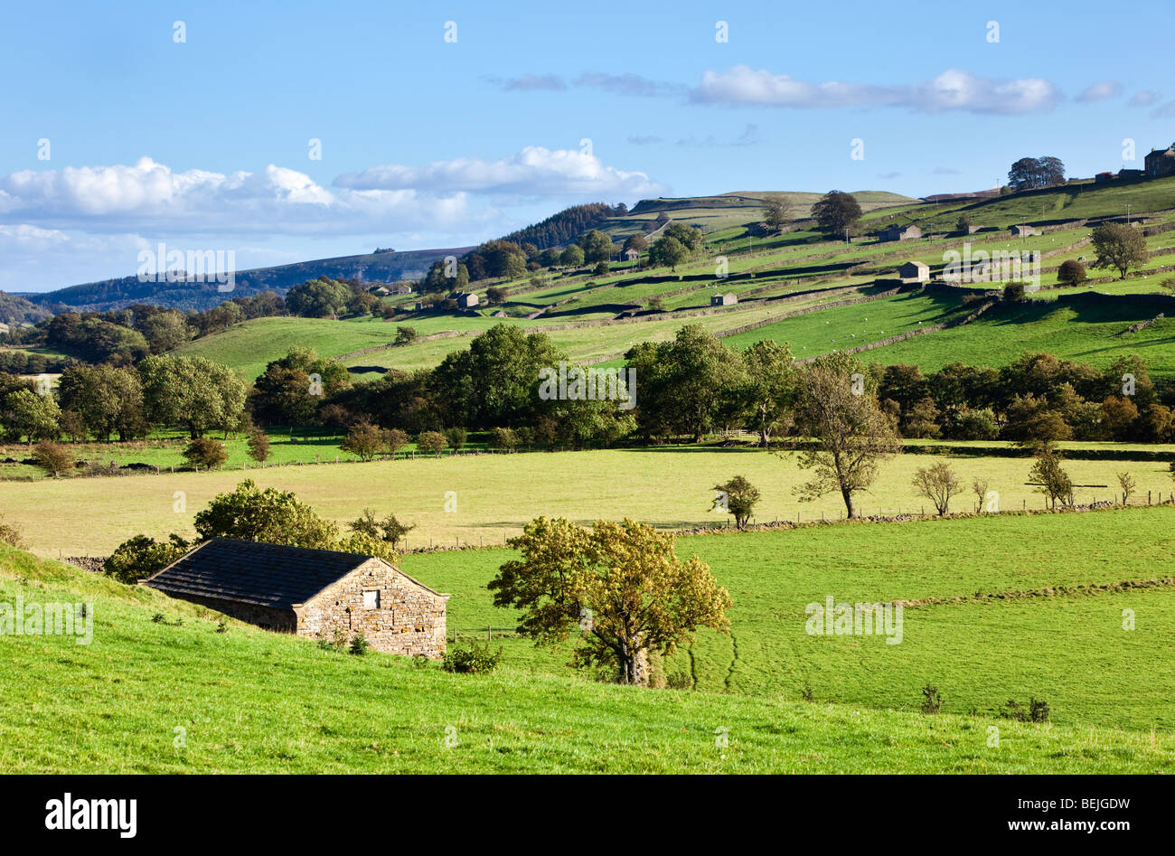 Swaledale, Valles de Yorkshire, Inglaterra, Reino Unido, con el antiguo granero en el valle Foto de stock