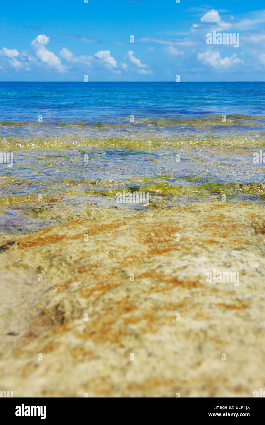 Las olas en la playa, la Playa de Seven Seas, Fajardo, Puerto Rico  Fotografía de stock - Alamy