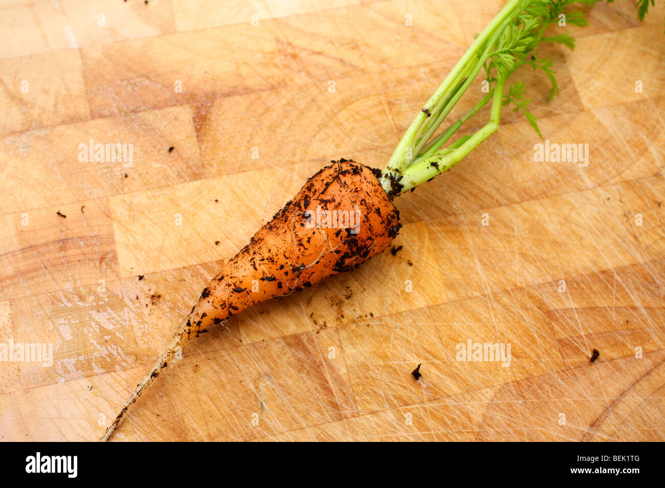 Solo zanahoria fresca recién sacados del jardín con suelo de bambú en un bloque de picado Foto de stock