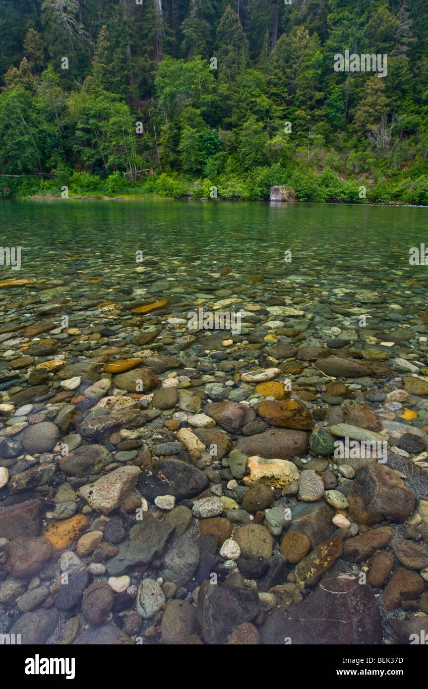 Las rocas bajo la superficie del agua en el río Smith, Jedediah Smith Redwoods State Park, California Foto de stock