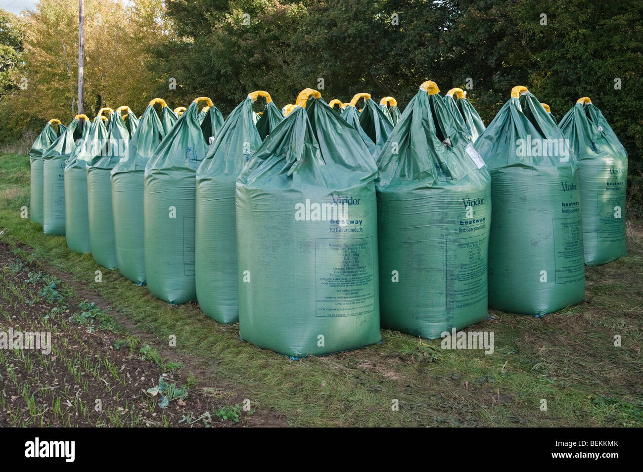 Grandes bolsas de fertilizantes químicos para uso agrícola tirado junto a campo Foto de stock