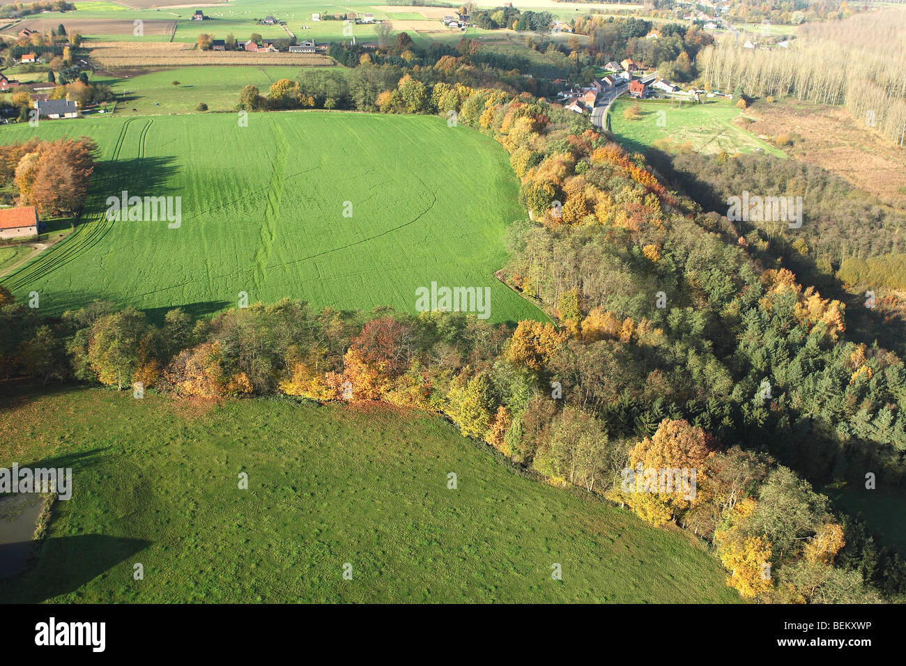 Campos, pastizales y zona boscosa desde el aire en otoño, el valle de Demer, Bélgica Foto de stock