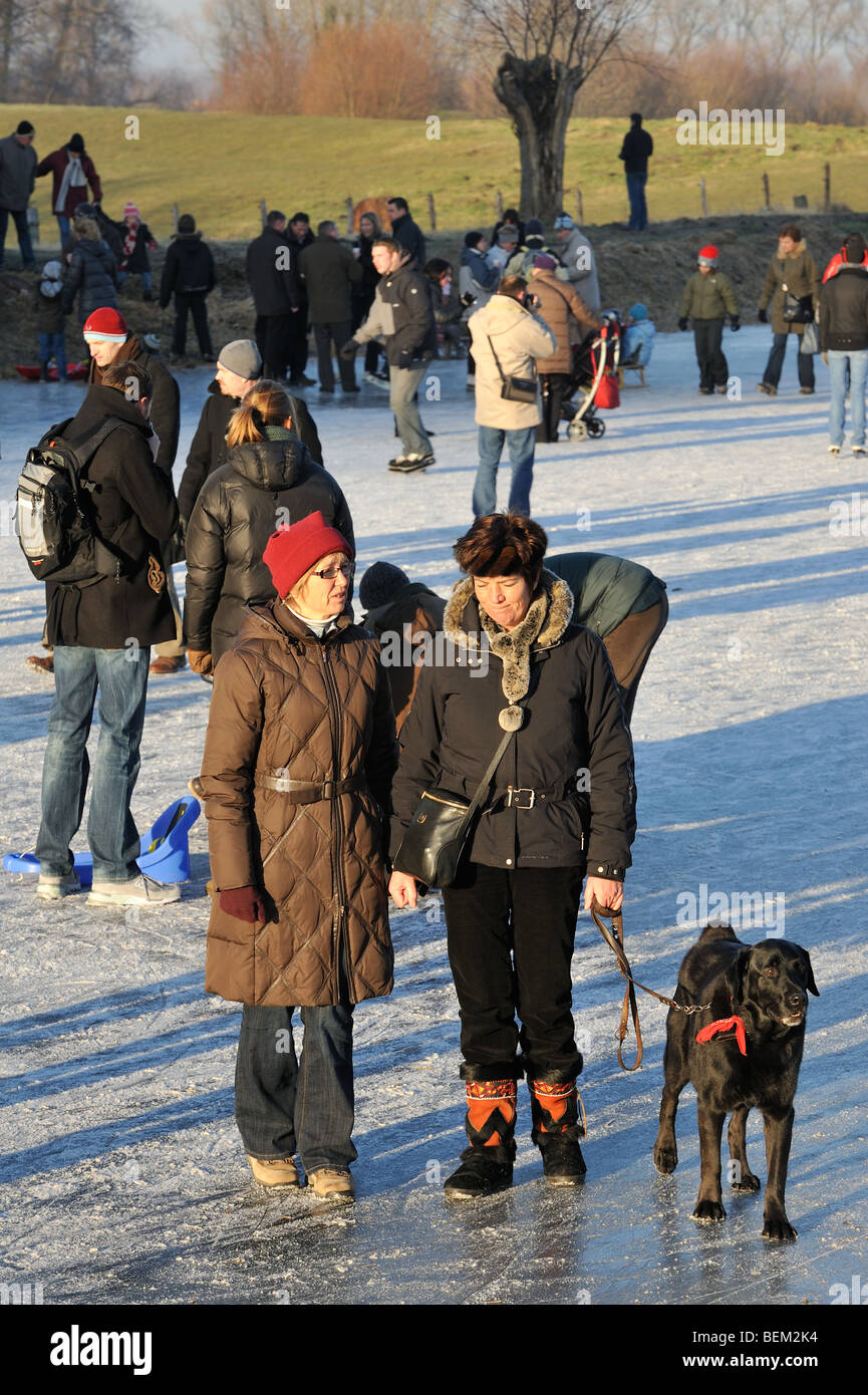 Paseantes con perro en correa entre los patinadores sobre hielo en canal congelado en Damme en invierno, en el oeste de Flandes, Bélgica Foto de stock