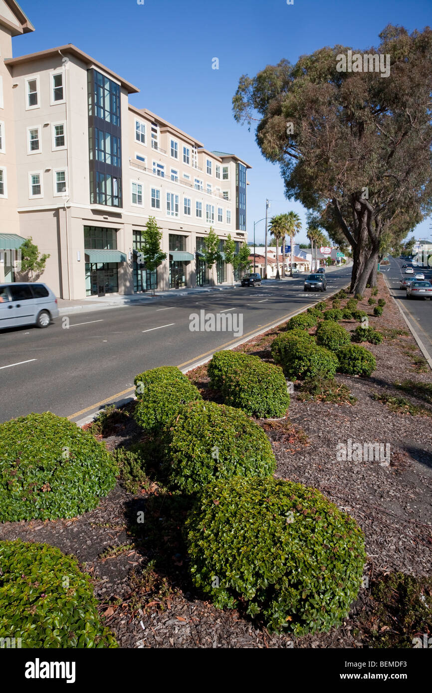 Carretera dividida paisajismo en frente de desarrollo de la vivienda de uso mixto (multi uso). Millbrae, California, Estados Unidos Foto de stock