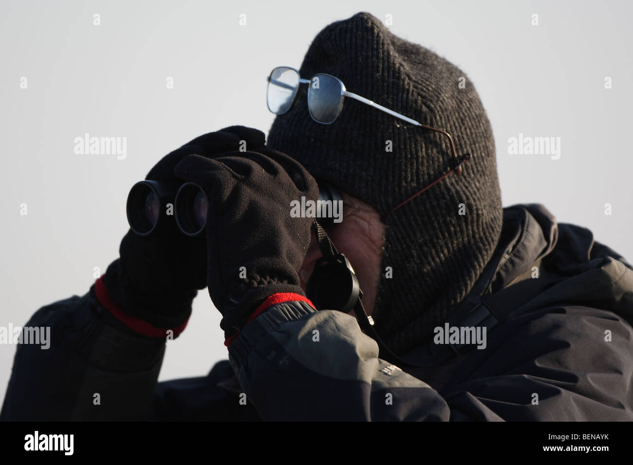 Birdwatcher mirando a través de binoculares en invierno Foto de stock