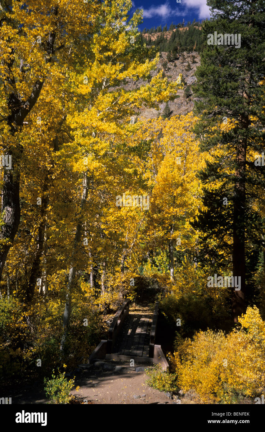 Colores de otoño en las sierras orientales Foto de stock