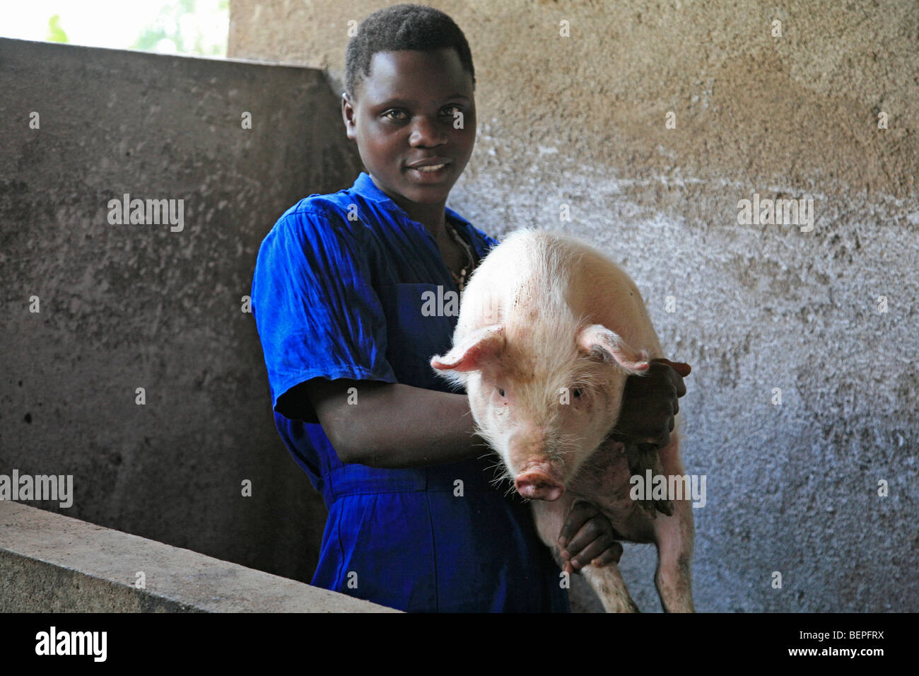 BURUNDI Agakura, un proyecto agrícola en la juventud Gitera. El cerdo orzuelos. Estudiantes titulares de un cerdo. Fotografía por Sean Sprague 2009 Foto de stock