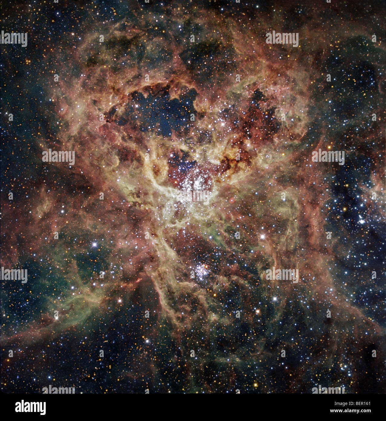 Nebulosa tarántula fotografías e imágenes de alta resolución - Alamy