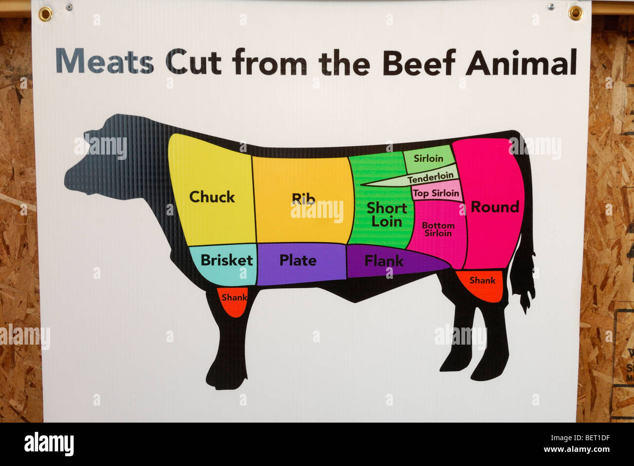 Pantalla que muestra los diferentes cortes de carne de un animal bovino Foto de stock