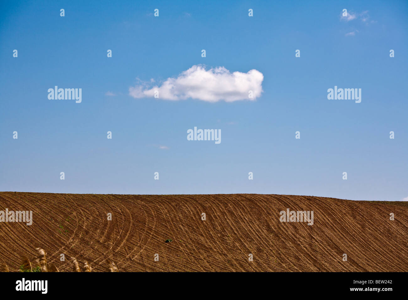 Solo nube blanca en cielo azul claro sobre un campo arado en el lado del país Foto de stock