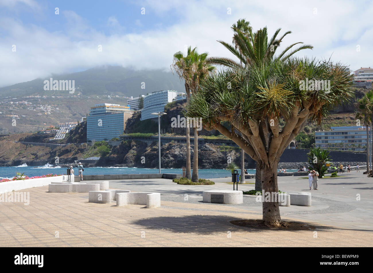 Conectado erección Vislumbrar Puerto de la cruz promenade fotografías e imágenes de alta resolución - Alamy Conectado erección Vislumbrar Puerto de la cruz promenade fotografías e imágenes de alta resolución - Alamy