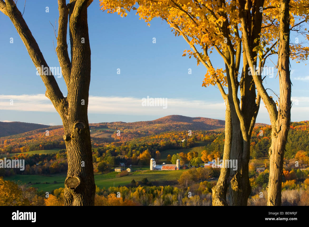Escena rural en otoño en el valle de Pownal Southern Vermont Foto de stock