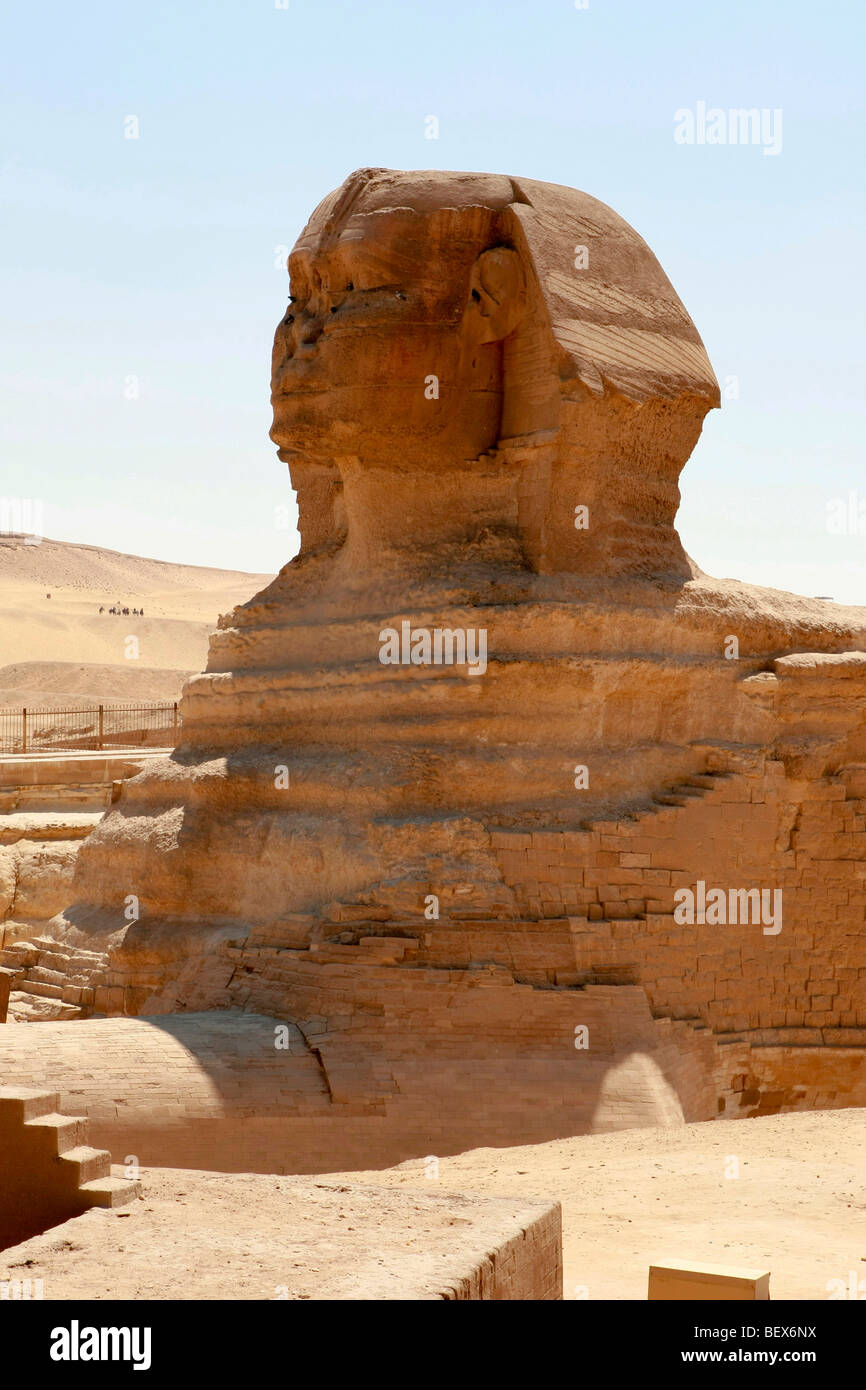 La Esfinge de Giza, cerca de El Cairo, Egipto. Foto de stock