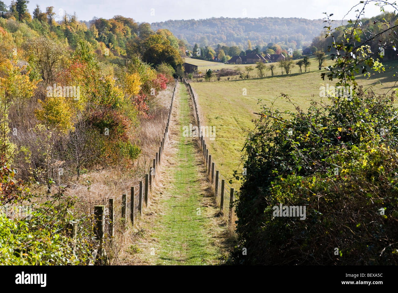 Un derecho público de camino entre dos cercas en Chilterns campiña, Buckinghamshire, REINO UNIDO Foto de stock