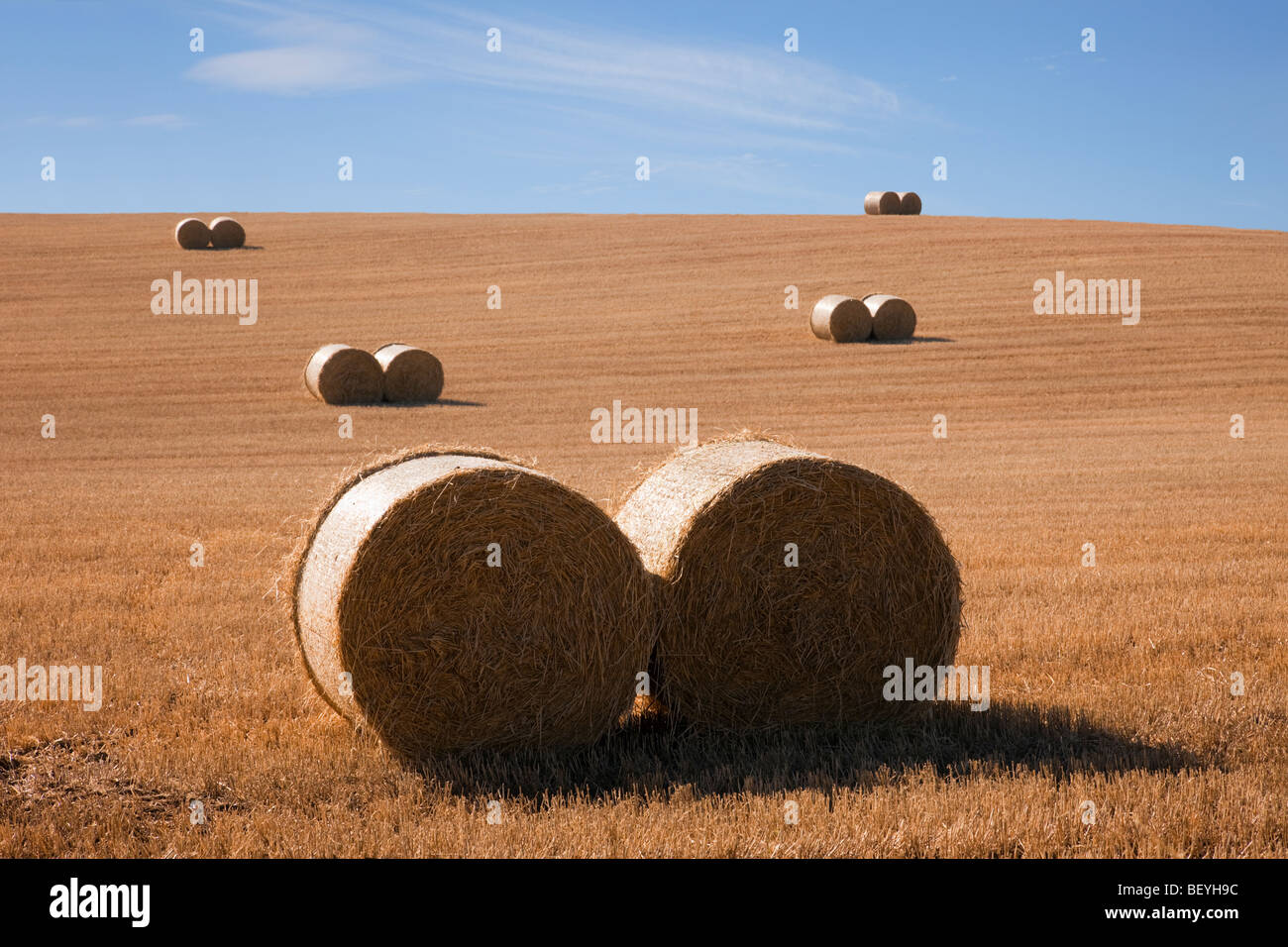 Escenario del país pares de pacas redondas de paja en un campo de trigo cosechado en tierras agrícolas durante la temporada de cosecha de septiembre a finales del verano. Escocia Reino Unido Gran Bretaña Foto de stock