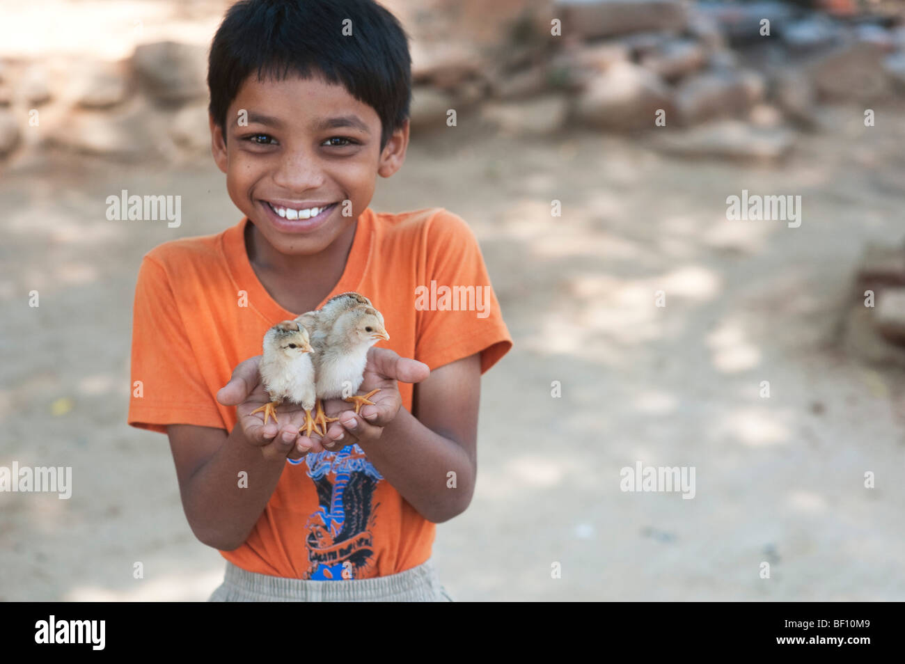 Joven indio con polluelos en la palma de sus manos. En Andhra Pradesh, India Foto de stock
