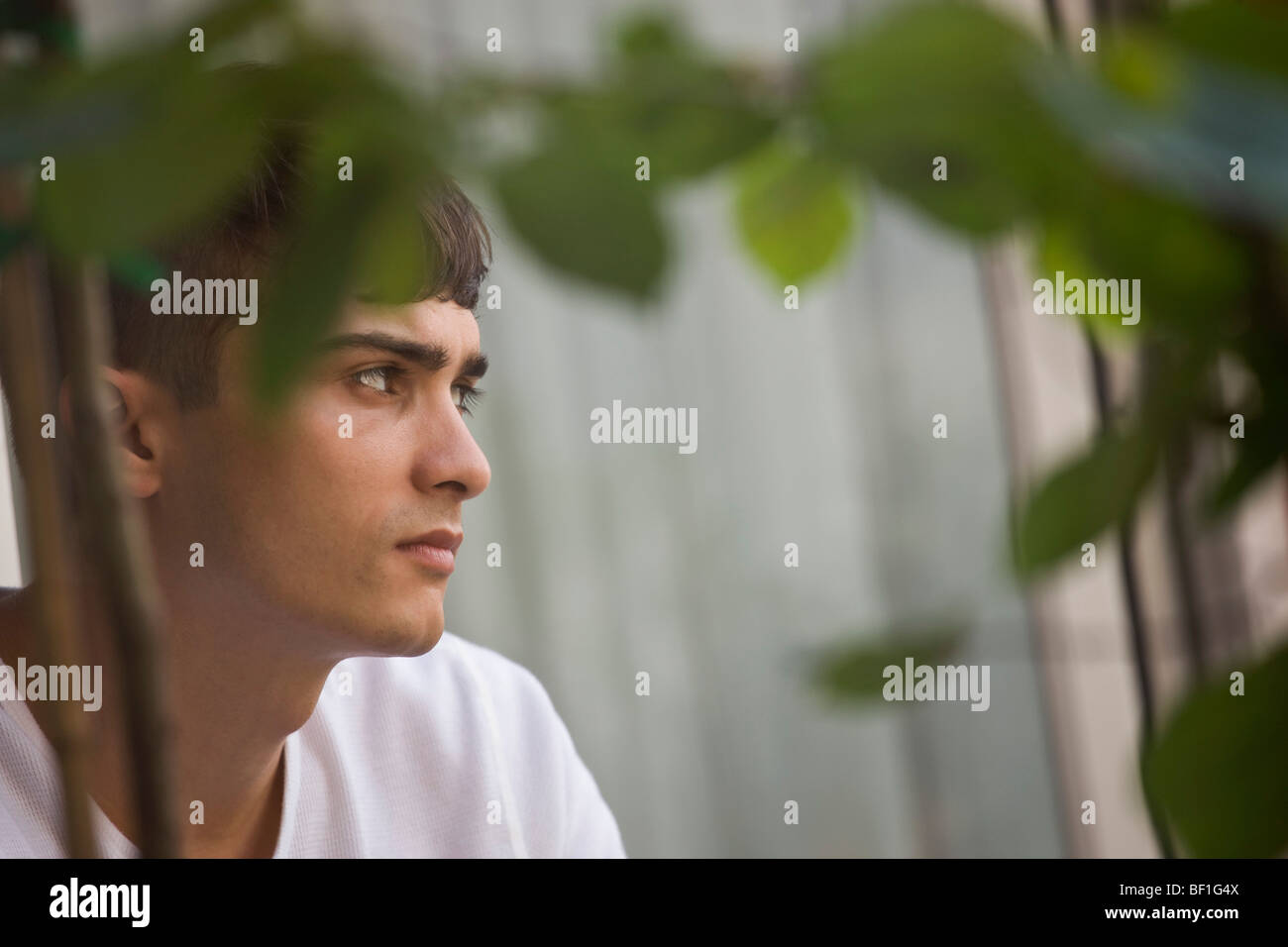 Retrato de un joven día soñando Foto de stock