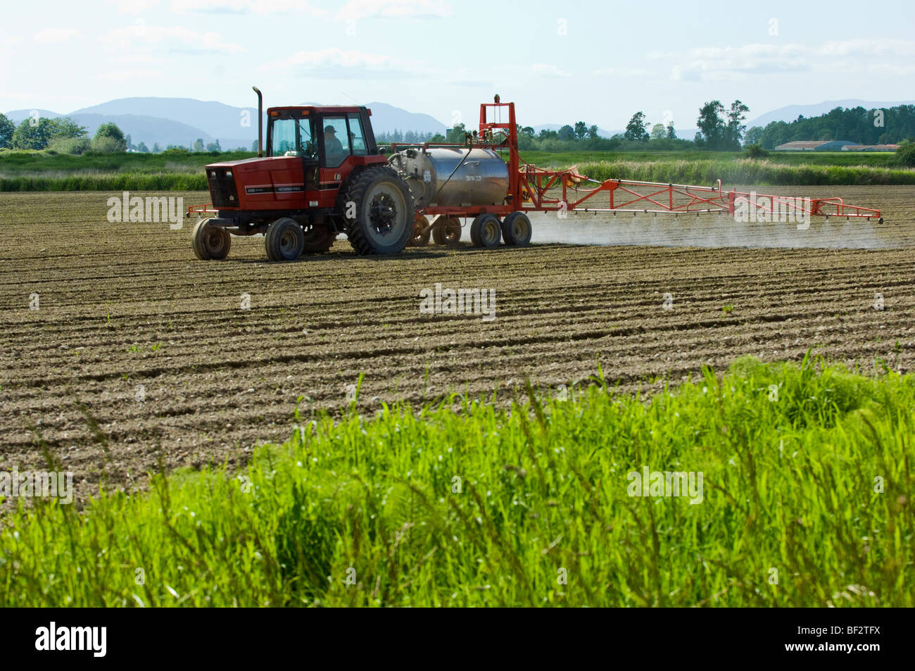 Granjas Frescas Fotos e Imágenes de stock - Alamy