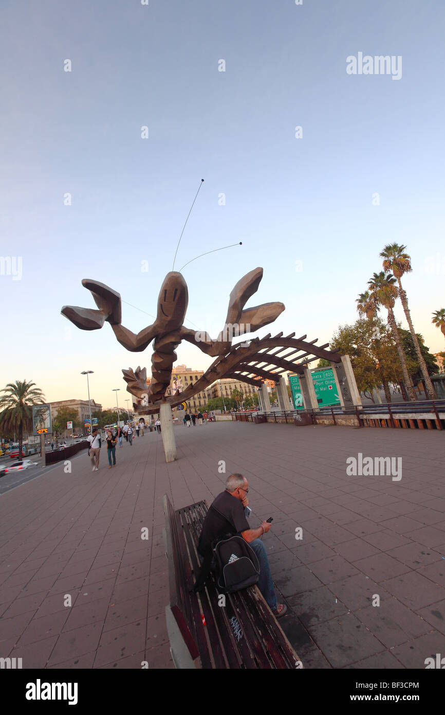 Langosta urbana fotografías e imágenes de alta resolución Alamy