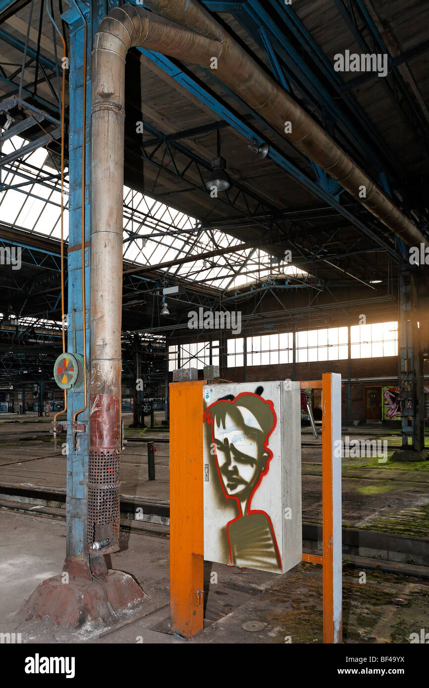 Reparación grande Hall, vacantes, graffiti, ex jefe de taller de reparación Ausbesserungswerk de Ferrocarriles Alemanes, cerrada en 2003, Duisburg-Wed Foto de stock