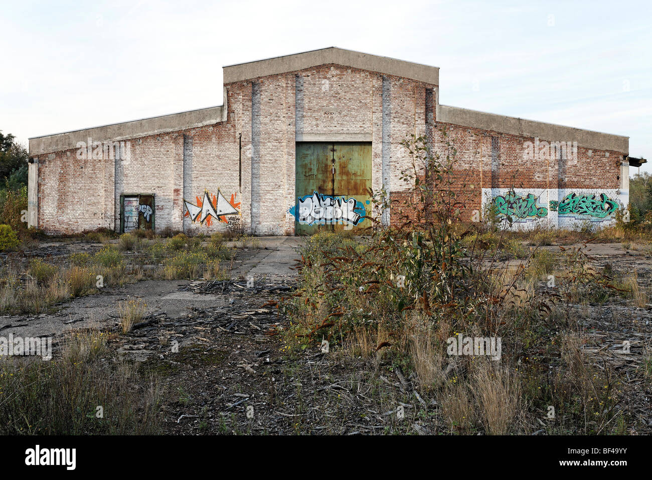 Antiguo edificio de fábrica, cubierto el terreno, ex Ausbesserungswerk tienda de reparación de ferrocarriles alemanes, cerrada en 2003, Duisburg-Weda Foto de stock