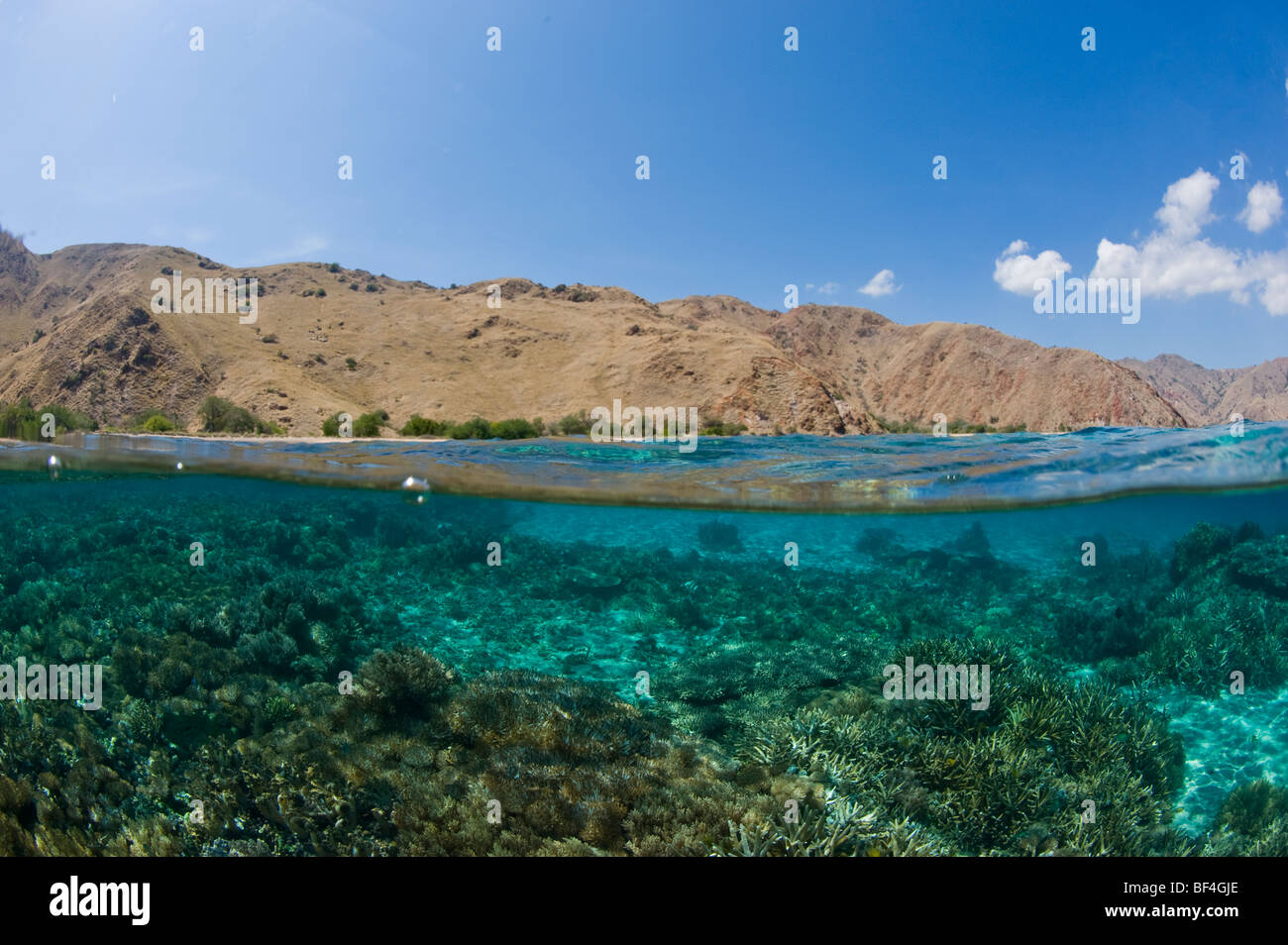 Foto de nivel dividido el Parque Nacional de Komodo y arrecifes de coral en el Parque Nacional de Komodo (Indonesia) Foto de stock