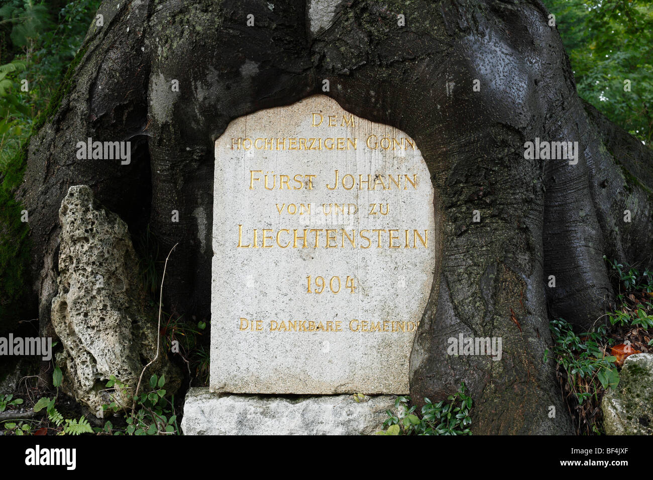 Memorial al príncipe Juan Liechtenstein cubierto por las raíces de los árboles, Semmering, Baja Austria, Austria, Europa Foto de stock