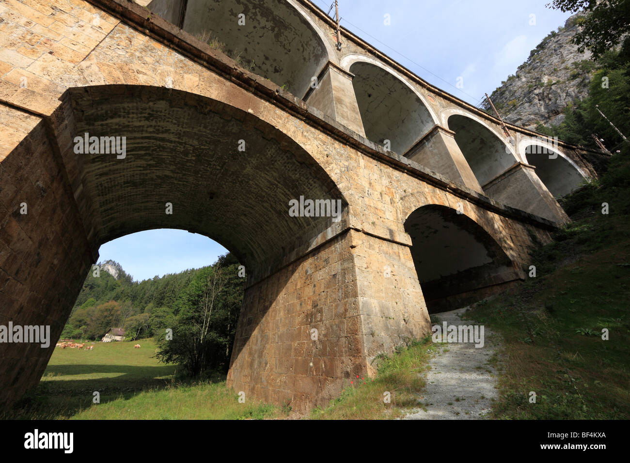 Puente ferroviario del Ferrocarril Semmering, Kalte Rinne viaducto, Semmering, Baja Austria, Austria, Europa Foto de stock