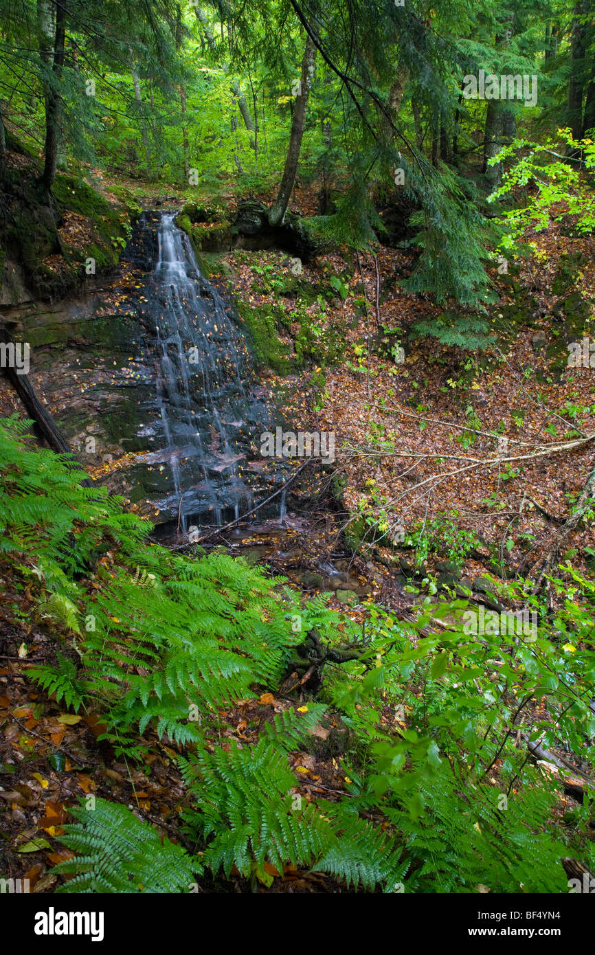 Silver Bell Falls, Hiawatha National Forest, Michigan Foto de stock