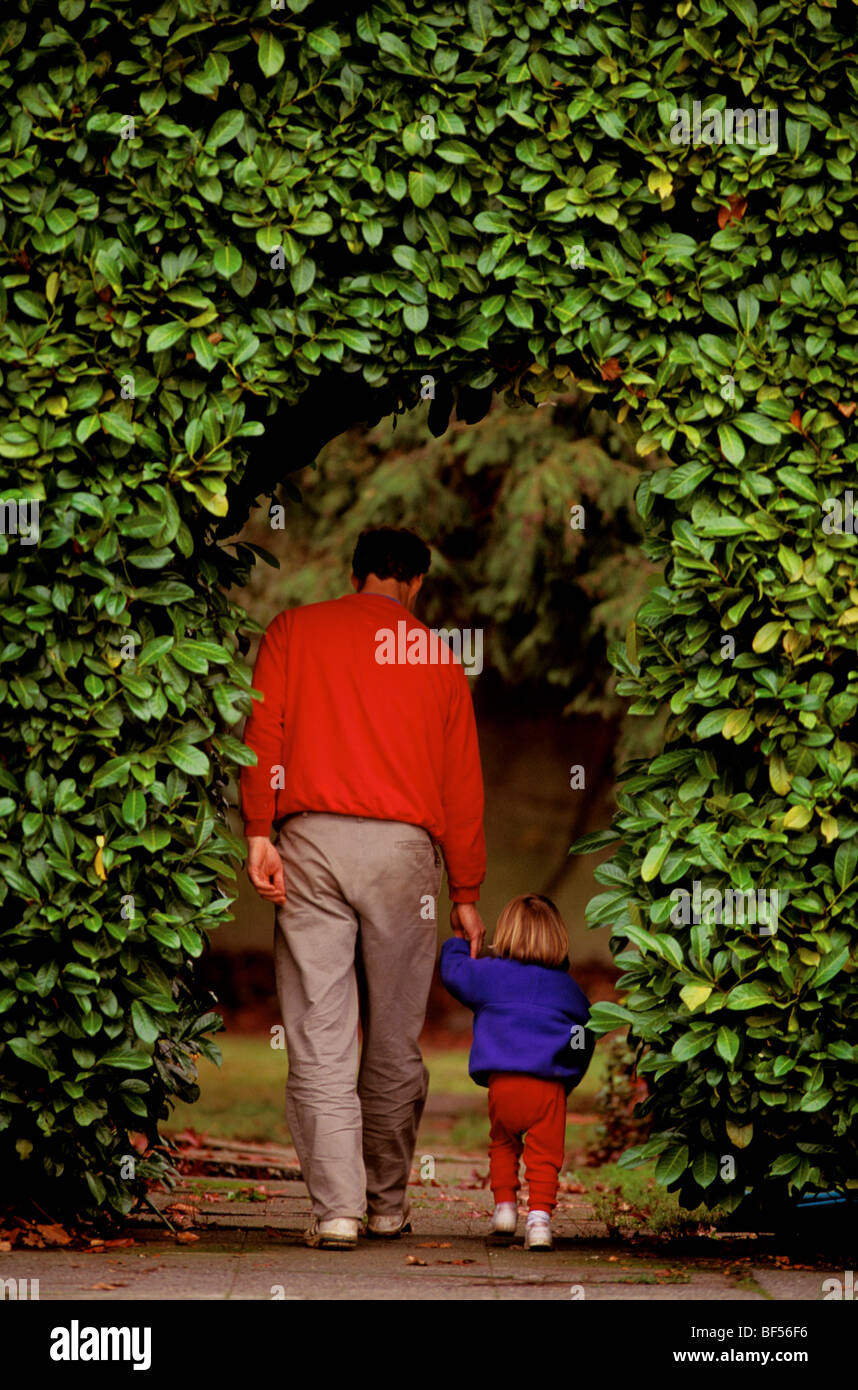Un padre y su hija de dos años, camina de la mano a través de una abertura en laurel hedge. Foto de stock