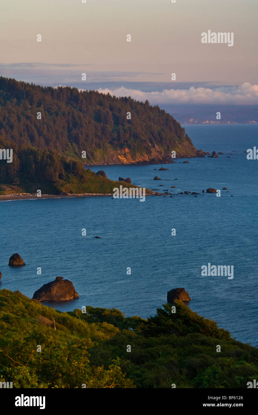 Thr escarpadas colinas costeras sobre el Océano Pacífico en False Klamath Cove, el Redwood National Park, California Foto de stock