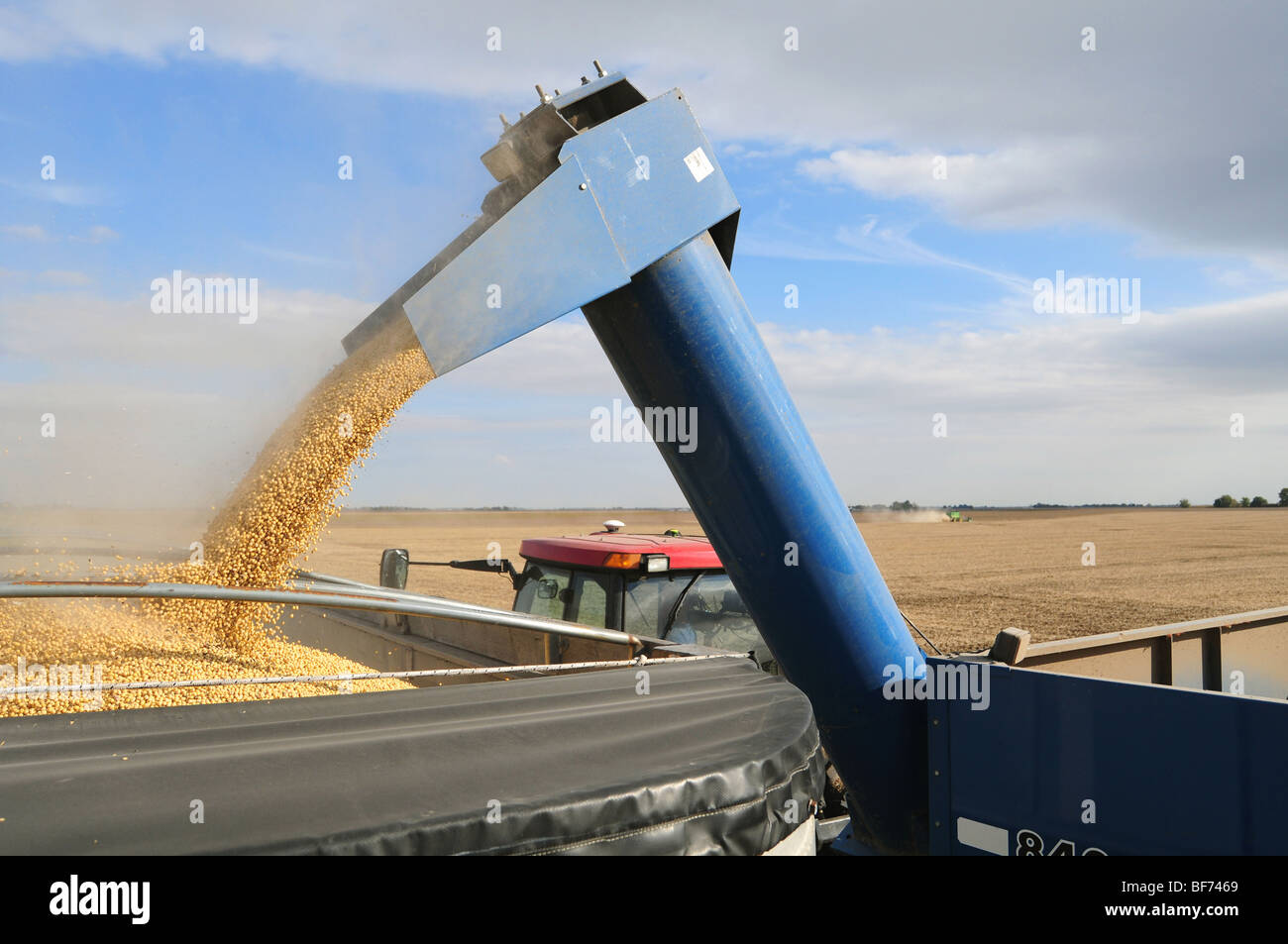 La soja se mueve desde un vagón de grano tirado por un tractor agrícola de Caso a esperar un camión de grano para llevarlos al mercado. Foto de stock