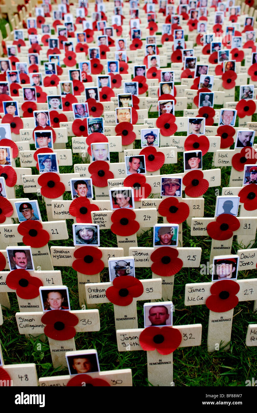 Cruces y amapolas rojas con las fotos de los muertos en el campo de la Recordación en la Abadía de Westminster en Londres Foto de stock