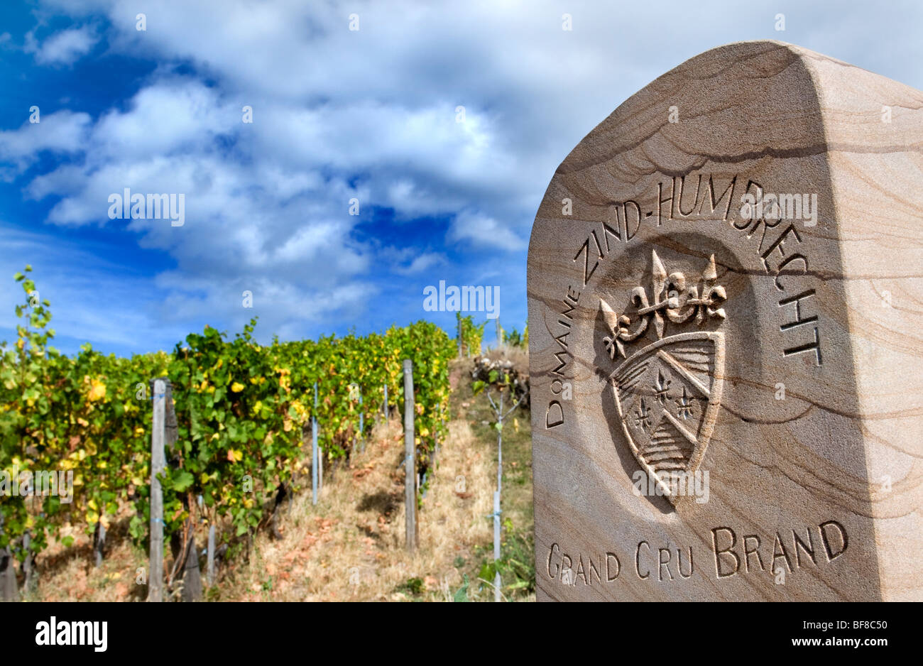 Lápida conmemorativa en el viñedo parcelle marca Grand Cru de Alsacia Domaine Zind-Humbrecht Turckheim Foto de stock