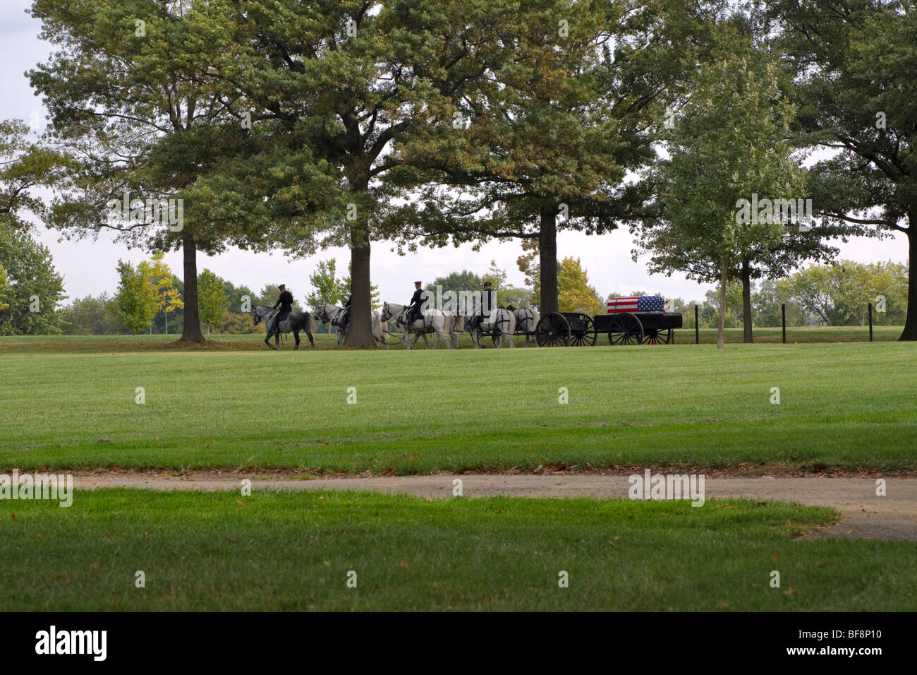 Un equipo de caballos agobiados por el dibujo de un bier a través de terreno abierto en el Cementerio Nacional de Arlington, Virginia Foto de stock