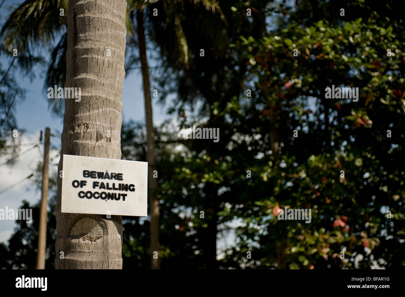 Un signo de advertencia sobre el tronco de un árbol de palmera en Tanjung Rhu en Langkawi, Malasia. Foto por Gordon Scammell Foto de stock