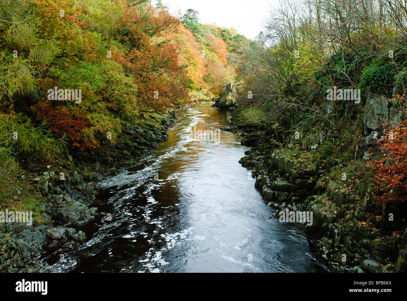 Río Tees en otoño Foto de stock