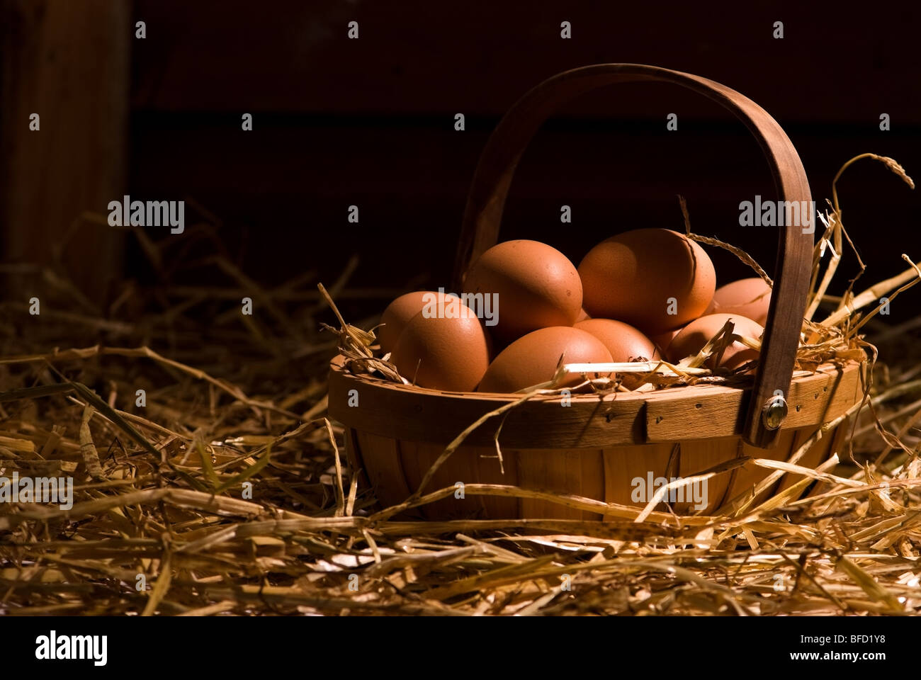 Los huevos en el gallinero Foto de stock