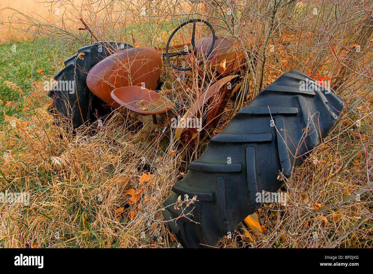 Este tractor agrícola oxidado fue dejado en un campo donde la maleza ha crecido hasta sobre ella. La rueda separados y caerse. Foto de stock