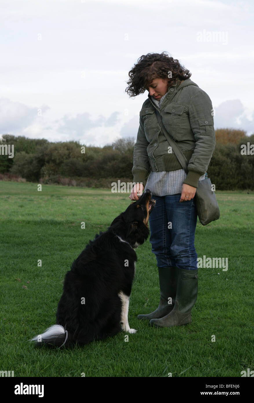 Propietario con perro femenino propietario y perro jugando fetch Park Foto de stock