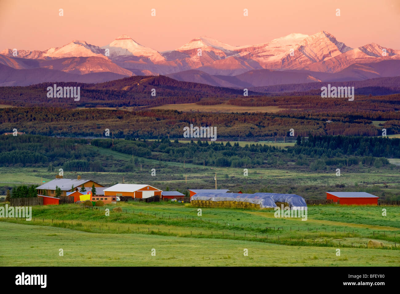 Estribaciones Ranch, temprano en la mañana la luz, Cochrane, Alberta, Canadá, la agricultura, las montañas rocosas Foto de stock