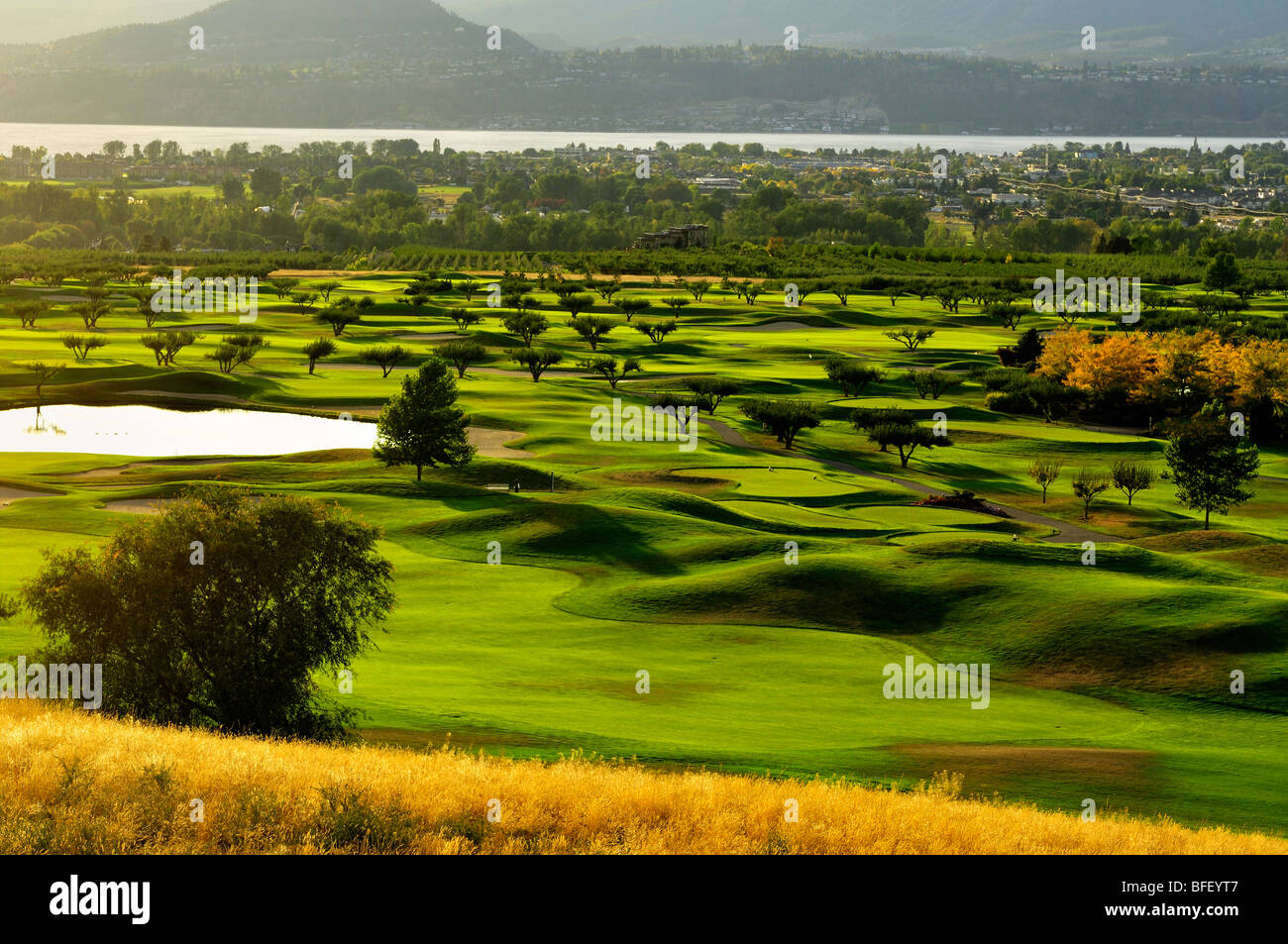 Orchard Green Golf Club cerca de Kelowna, BC Foto de stock
